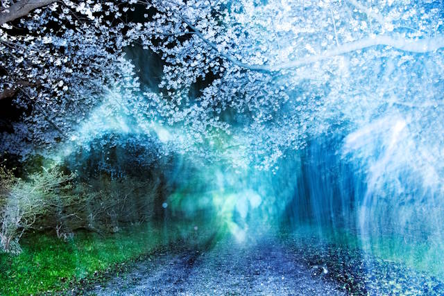 Japan House London Announces Photography Exhibition: Invisible